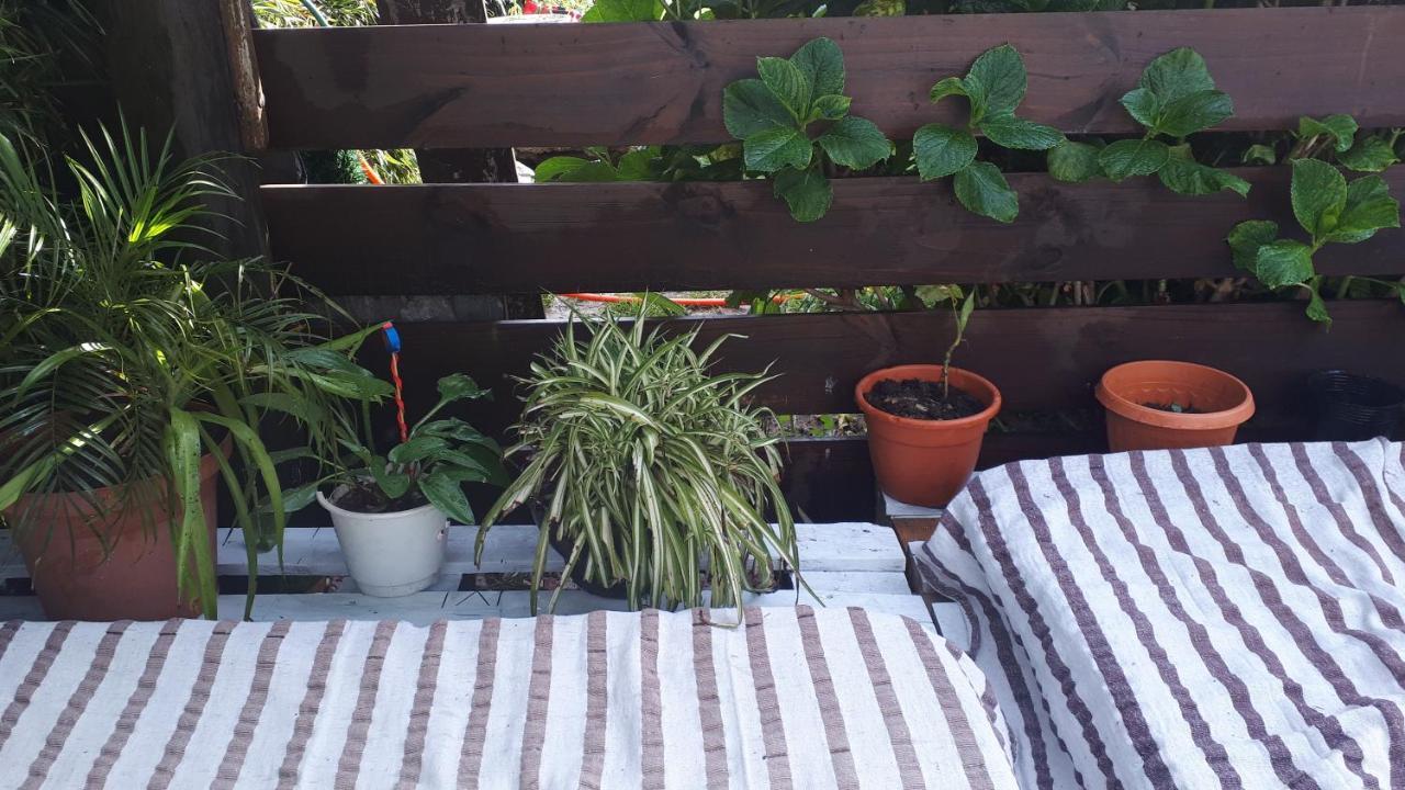 Familia Moro Сasa de vacaciones